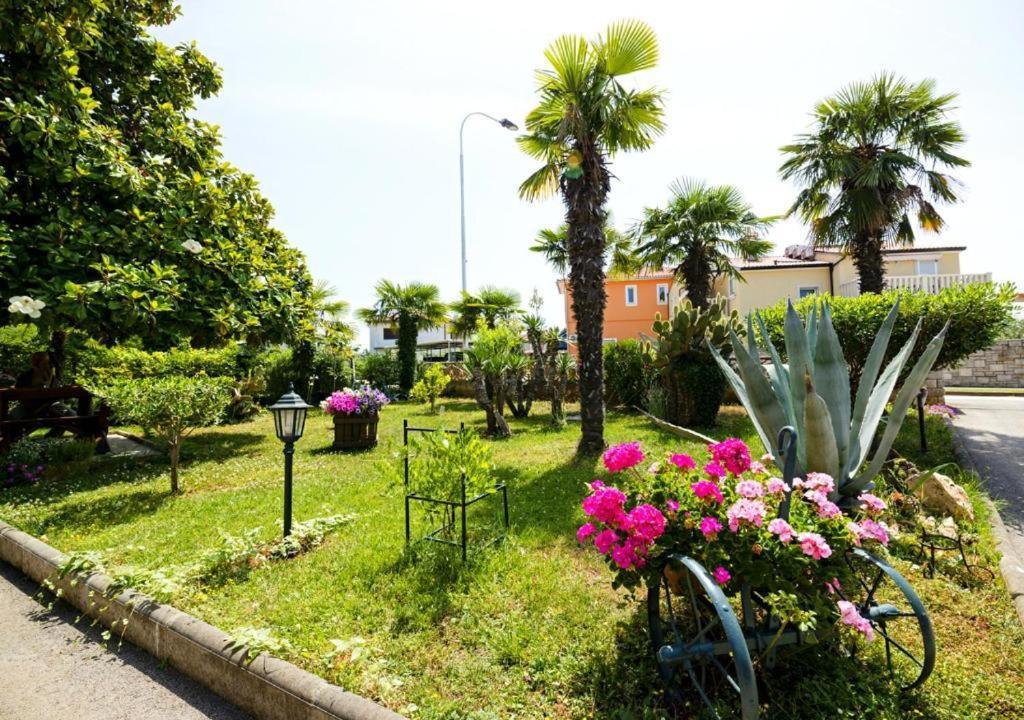 Apartment Anna أوماغ المظهر الخارجي الصورة